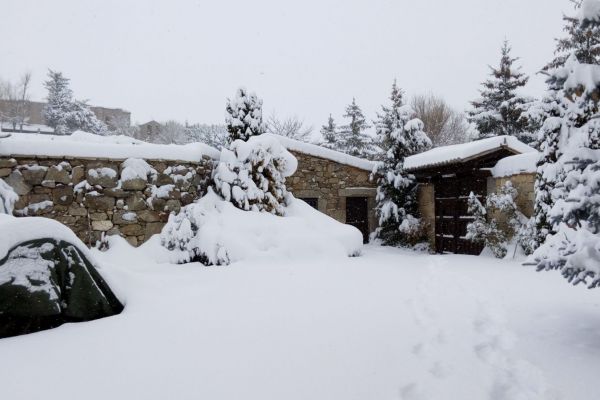 nieve-jardin-zona-porton-entrada499F4C0A-5576-D8B4-C7DF-A217D3CE2CDC.jpg