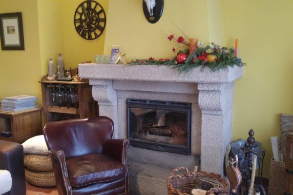 fm-salon-chimeneaBC69ED9E-3BEC-FE3A-EE74-7547429F53FE.jpg